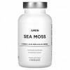 Codeage, Amen Sea Moss, 90 растительных капсул