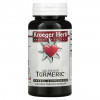 Kroeger Herb Co, Turmeric, 100 растительных капсул