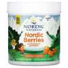 Nordic Naturals, Nordic Berries, мультивитаминные жевательные конфеты, оригинальный вкус, 120 ягод-жевательных конфет