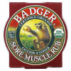 Badger Company, Sore Muscle Rub, мазь от боли в мышцах с кайенским перцем и имбирем, 21 г (0,75 унции)