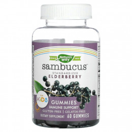 Nature's Way, Sambucus, стандартизированный экстракт бузины для детей, 60 жевательных конфет