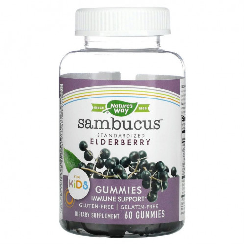 Nature's Way, Sambucus, стандартизированный экстракт бузины для детей, 60 жевательных конфет