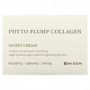 Mizon, Phyto Plump Collagen, ночной крем, 50 мл (1,69 жидк. Унции)