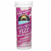 Source Naturals, Иммуностимулирующее средство Wellness Fizz, со вкусом натуральных ягод, 10 пластинок