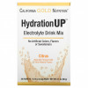 California Gold Nutrition, HydrationUP, смесь для приготовления электролитического напитка, цитрус, 20 пакетиков по 4,4 г (0,16 унции)