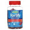 Nature's Way, Fortify Gummy Probiotic, Sugar-Free, Berry Flavored, 6 Billion, 60 Gummies