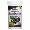 Nature's Answer, Sambucus + пробиотик, 60 веганских капсул DuoCap