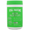 Vital Proteins, Матча латте с коллагеном, ваниль, 265 г (9,3 унции)